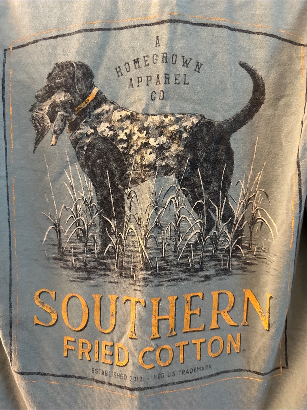 Southern Fried Cotton Kids Short Sleeve Tee in Sage Green